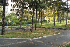 Akcija za osvetljenje parka Akcija za osvetljenje parka