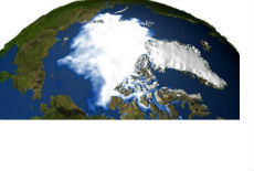 Uzeli seme iz arktičke riznice Uzeli seme iz arktičke riznice